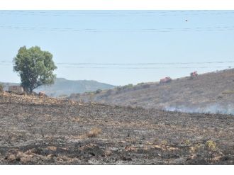 Aliağa’daki Yangında 10 Hektarlık Alan Kül Oldu