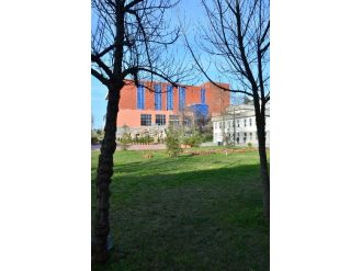 Genç Ressam Adaylarının Tercihi Beü