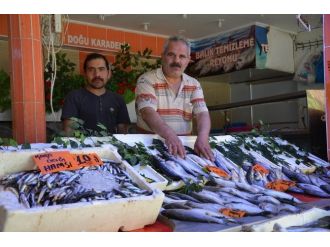 Eskişehirli Ramazan Ayında Ucuz Balık Tüketti