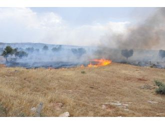 Dargeçit’te Korkutan Yangın