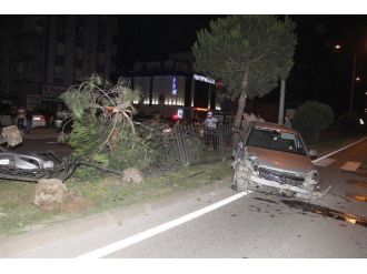 Otomobil Çam Ağacına Çarptı: 1 Yaralı