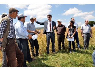 Kütahya’nın 305 Bin Hektar Tarım Arazisi Var