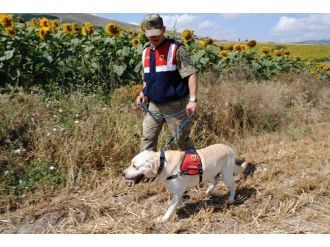 Kayıp Yaşlı Kadın 24 Saat Sonra Bulundu