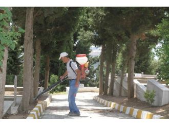 Kocaeli’nde Kabristanlarda Hummalı Çalışma