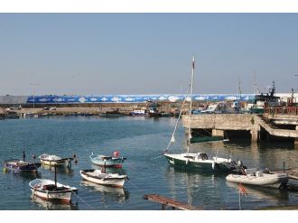 Balıkçı Barınağı Duvarı Balık Resimleriyle Donatılacak