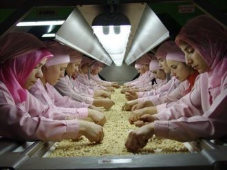 Bin 238 Ton İç Fındık İhraç Edildi