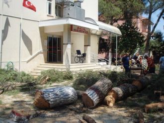 Sarıgöl Devlet Hastanesinde Çevre Düzenlemesi Başladı