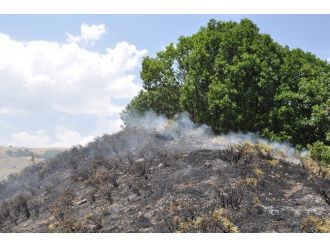 Pülümür’de Korkutan Yangın