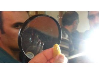 Kemah’ta Sakalı Şerif Heyecanı