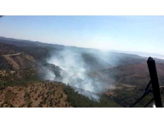 Ayvalık’ta Orman Yangını