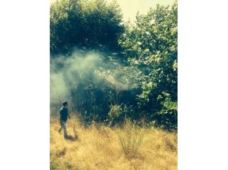 Çınar Ağaçları Yandı