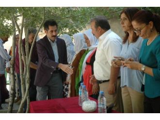 Hdp Ve Dbp’den Bayramlaşma