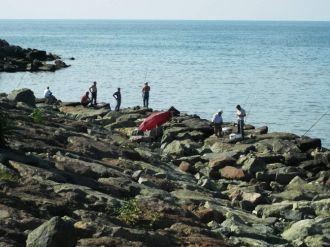 Oltasını Alan Sahile Koştu