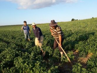 Yozgat’ın Lök Köyünde Çiftçiler Fasulye Üretimine Yöneldi