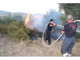 Aydın’da İtfaiye Ekipleri Yangından Yangına Koştu