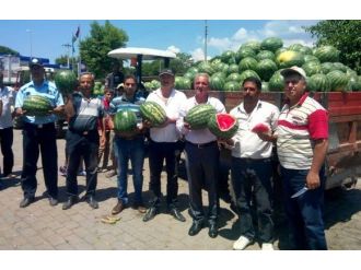 Canını Ve Malını Seven Atça Karpuz Halinden Uzak Durmaya Başladı