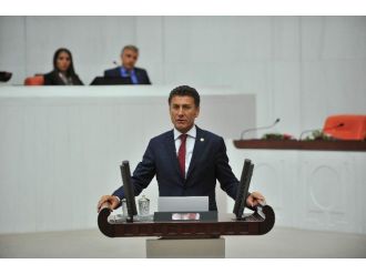 Mısır Ve Soyada Gdo’ya Vize