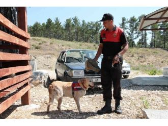 12 Gündür Kayıp Olan Şahsı Komandolar Aradı