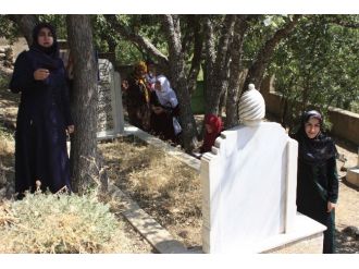 Seyyid Taha Hazretleri Türbesine Ziyaretler Sürüyor