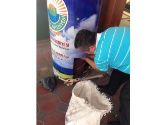 İlkadım 4 Bin 500 Atık Pili Doğadan Uzaklaştırdı