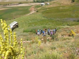 Bingöl’de Trafik Kazası: 2 Yaralı