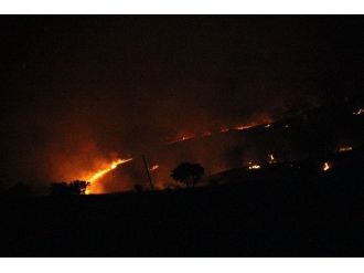 Elazığ’daki Yangında 30 Hektar Alan Zarar Gördü