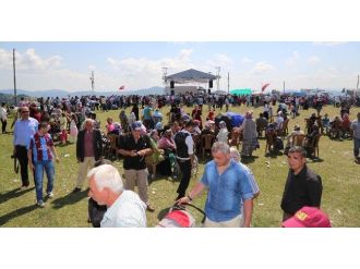 Canik’te Çilek Ve Kiraz Festivali