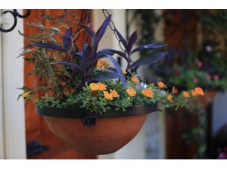 “Çiçek Açan Şehirler” Projesinin Jüri Üyeleri Antalya’ya Geliyor