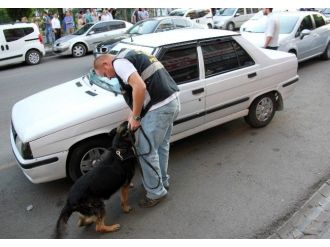 Suruç’taki Terör Saldırısına Kınama