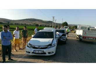 Atlar Zincirleme Kazaya Sebep Oldu