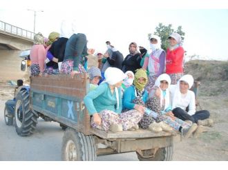İş Güvenliği Sadece Baret Takmak Değildir