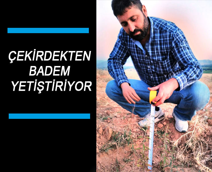 Çekirdekten Badem Yetiştiriyor