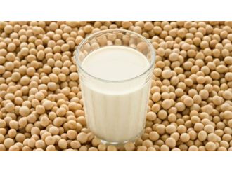 Soya Sütü İle Kilolara Veda Edin !