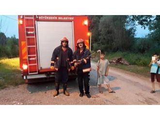 Eve Giren Yılanı İtfaiyeciler Çıkarttı