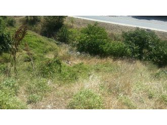 Beşiktaş’ta “Şüpheli Gömü” Polisi Harekete Geçirdi