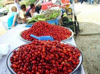 Şenköy Kızılcık Şenliği 2 Ağustos’ta Yapılacak