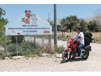 Hayvan Katliamlarına ’Dur’ Demek İçin Yollara Çıktı