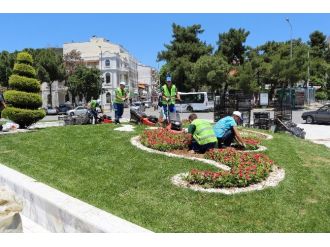 Muğla’da Üretilen Çiçekler Muğla’yı Süslüyor