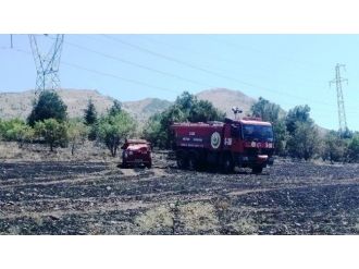 Elektrik Akımına Kapılan Karga Yangına Neden Oldu