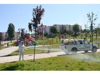 Bozüyük’te Haşere Mücadelesi Kene İlaçlaması İle Sürüyor