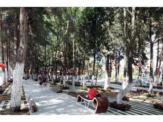 Beylikdüzü Koruluklarında Bu Yaz Ferah Geçecek