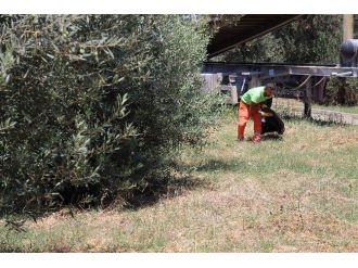 Temizlik Timleri Körfez Sokaklarında