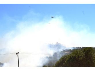 Ayvalık’ta Çöplükte Çıkan Yangın Ormana Sıçradı