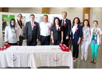 Mobil Ketem Porjesi Çine’de Tanıtıldı