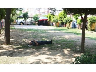 Sıcaklar Aydınlıları Bunalttı