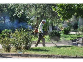 Alıcık: Nazilli’nin Kültürel Değerlerine, Tarihine Sahip Çıkıyoruz