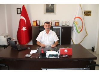 (Özel Haber) Mut, Zeytin Ve Zeytinyağında Altın Yılını Yaşıyor