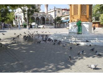 Güvercinler Böyle Serinledi