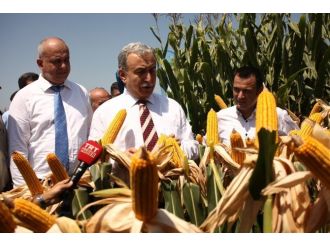 Vali Büyük’ten Anız Uyarısı