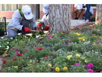 Yunusemre Güzelleşiyor